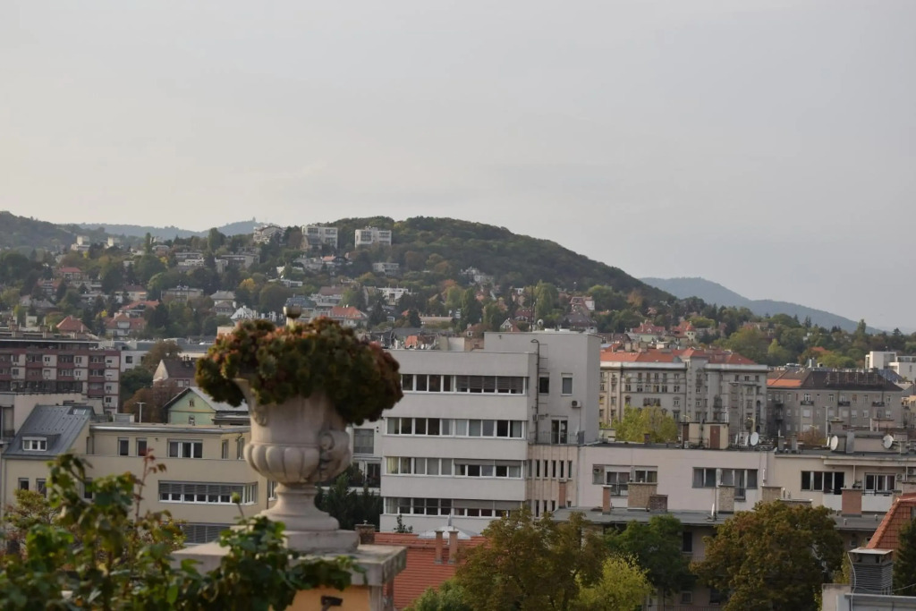 Panoramic Apt. near Chain Bridge