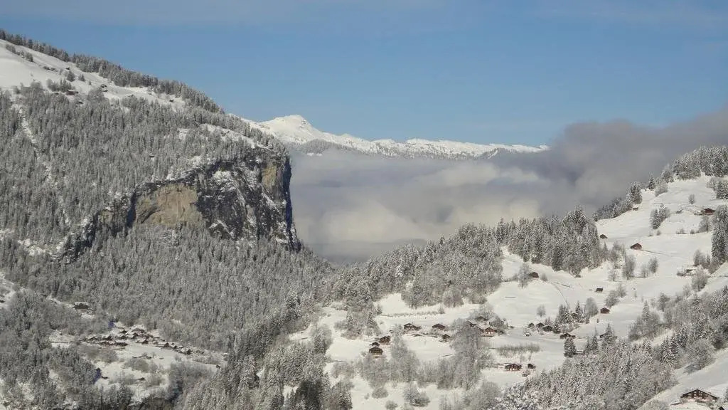 Chalet Aelpli Bed and Breakfast