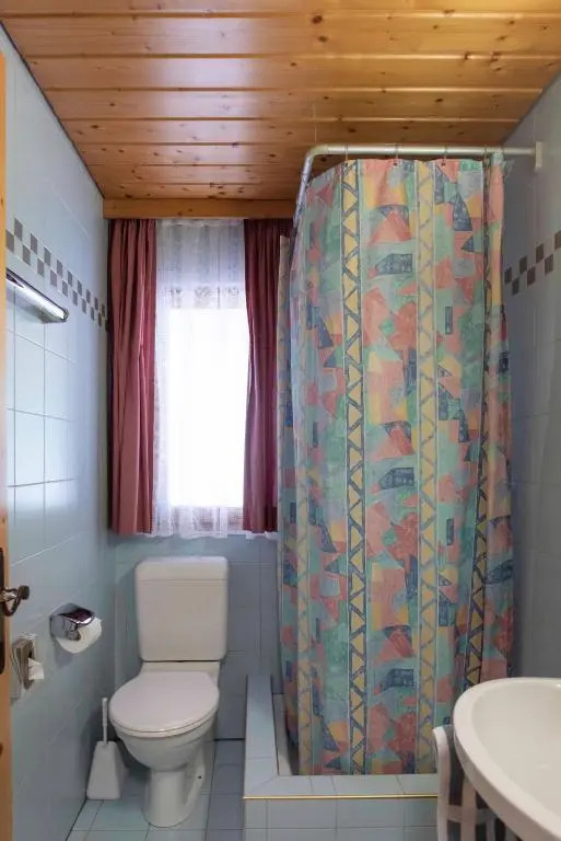 Apartment Madlaina