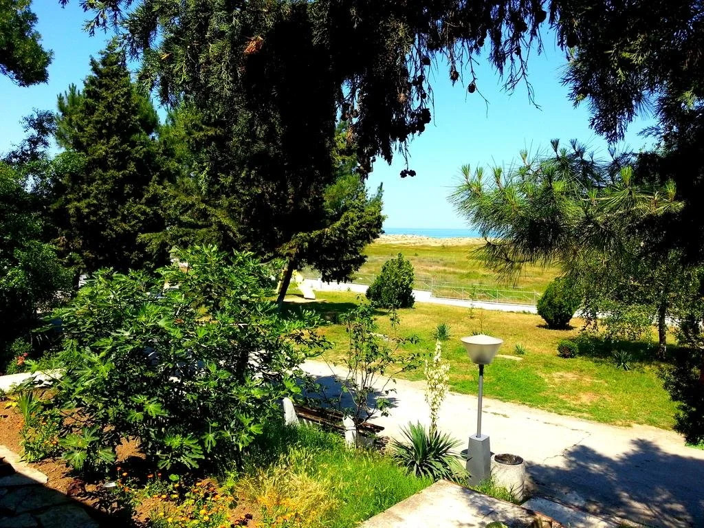 Alexander Bungalows