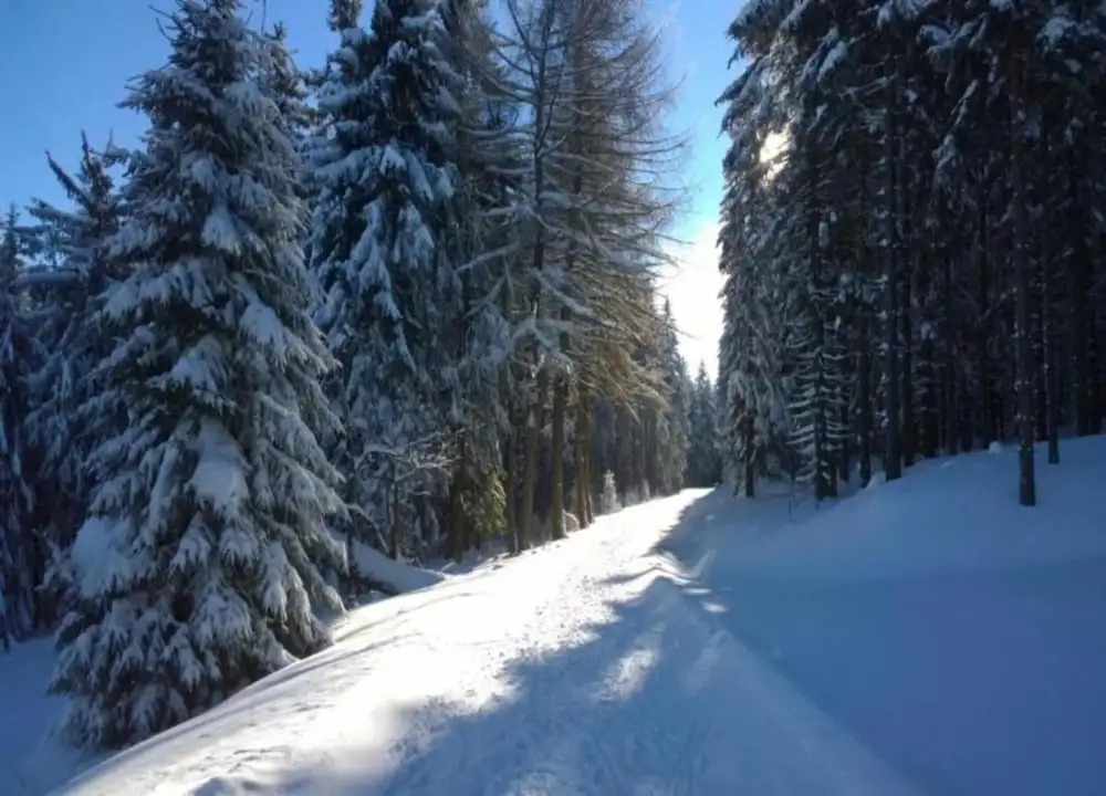 Holiday home in the Thuringian Forest