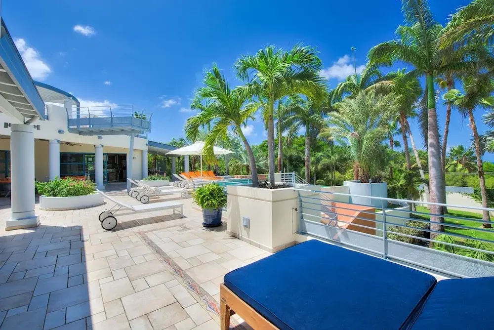 Palmita