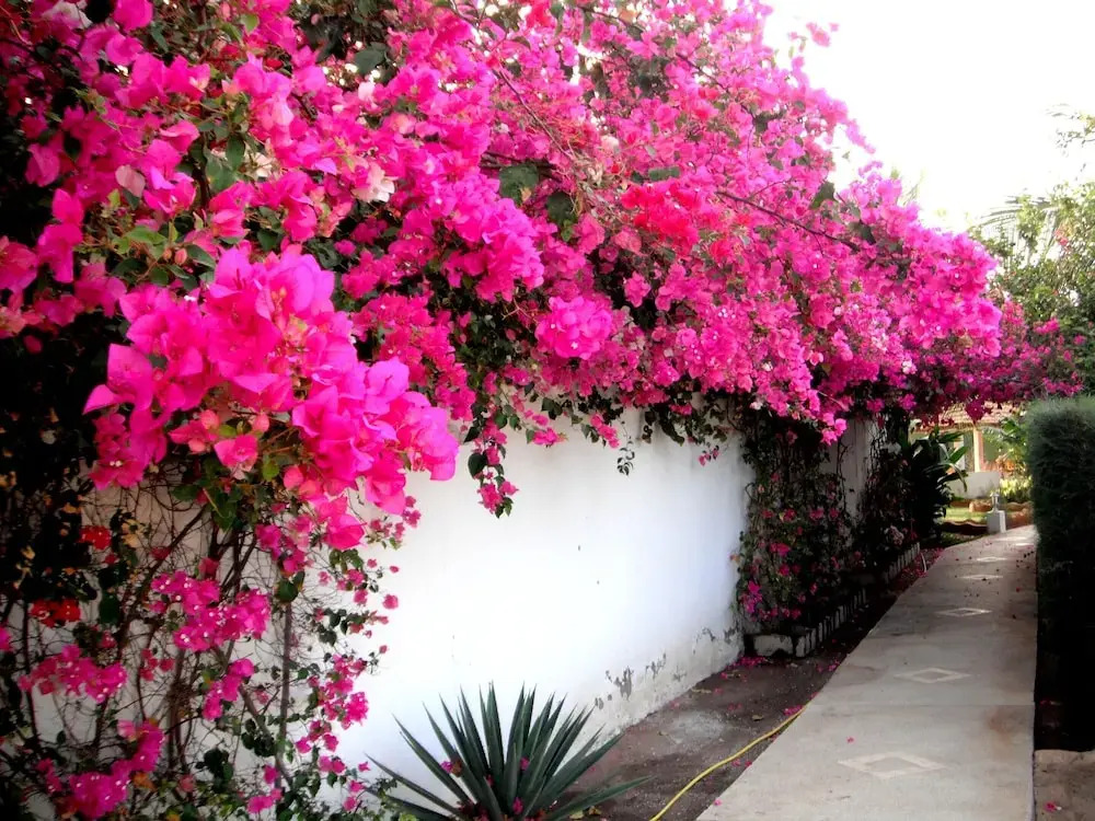 Villa With 3 Bedrooms in Saly, With Pool Access, Enclosed Garden and W