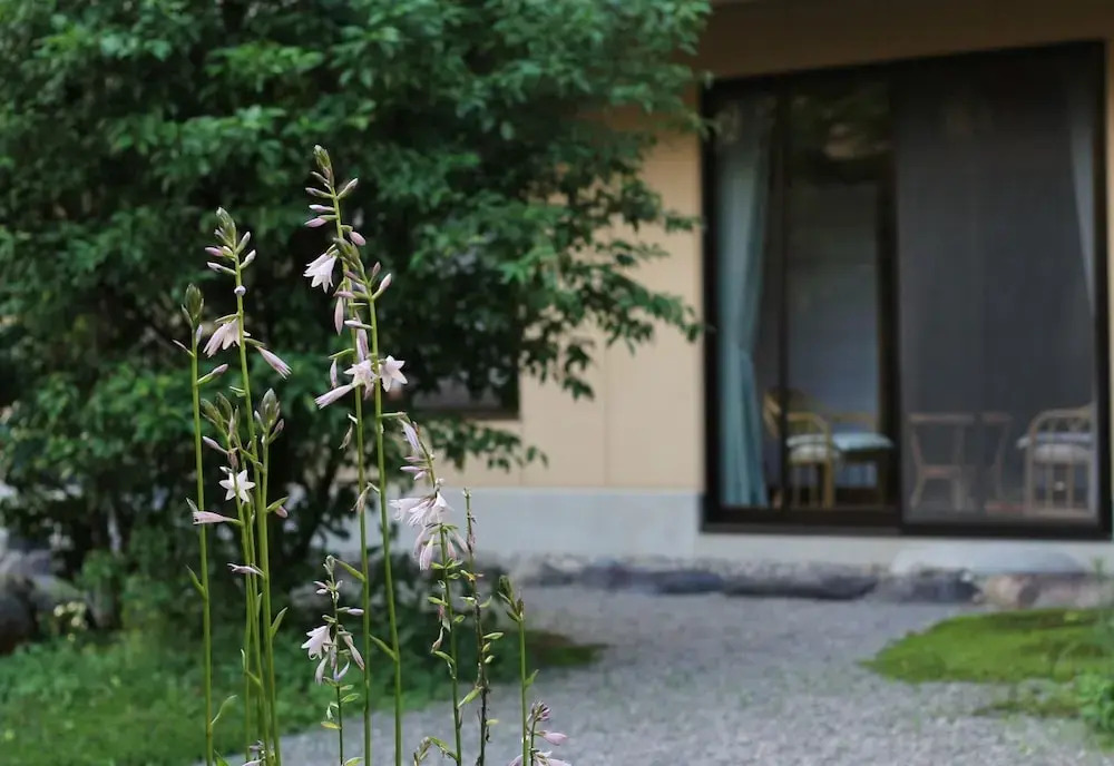 Hotel Kinu