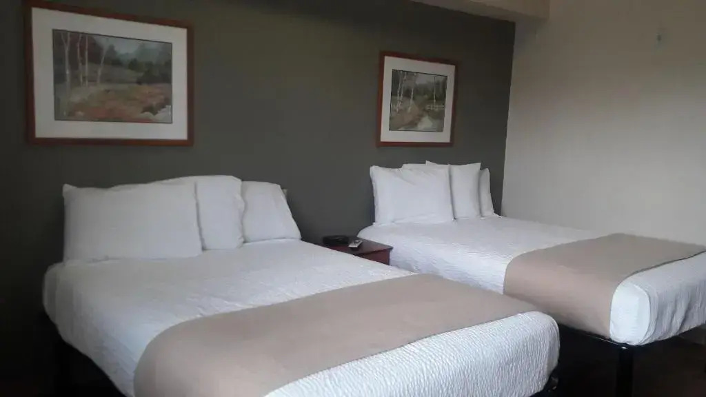 Best Studio Inn Homestead