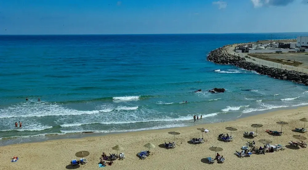 Отель Playa Del Pacha Suites