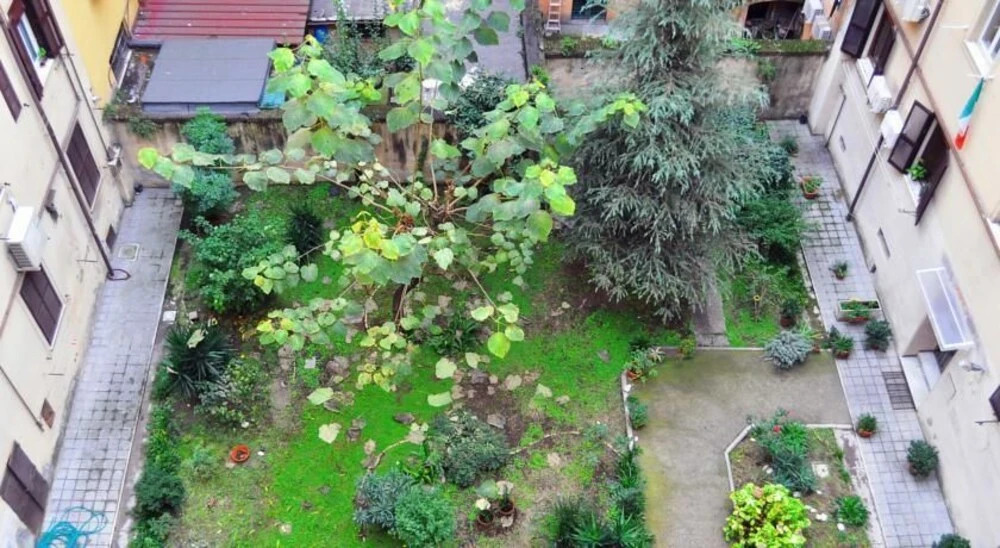Blue Rain Guest House