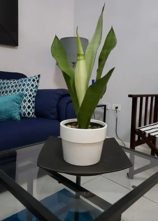 Millsborough B&B