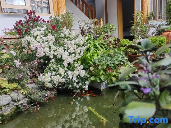 Lijiang Flower Sea Inn (South Gate of Ancient City)