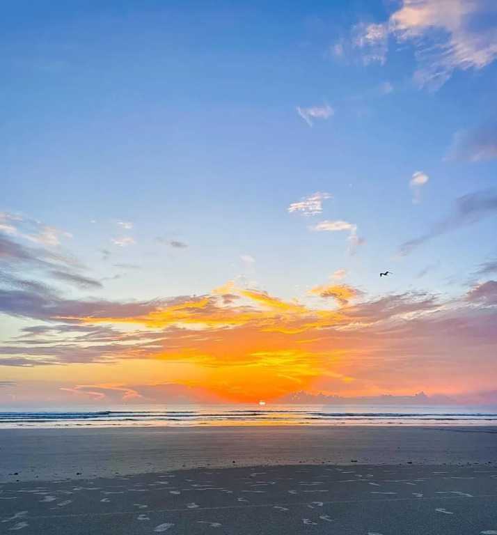 Oceanwalk 14-404