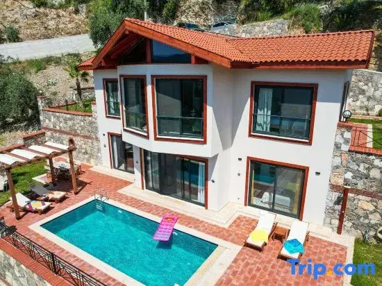 Olive Vista
