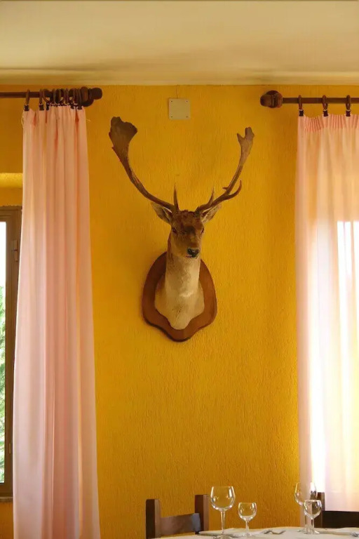 Terre DOrcia