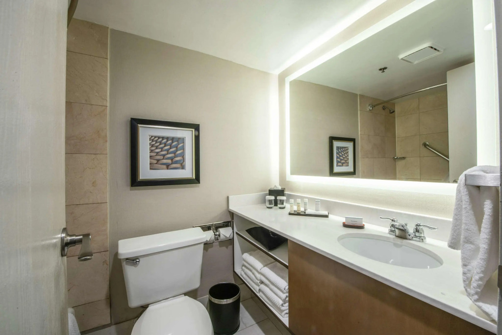 Embassy Suites by Hilton Chicago Schaumburg Woodfield