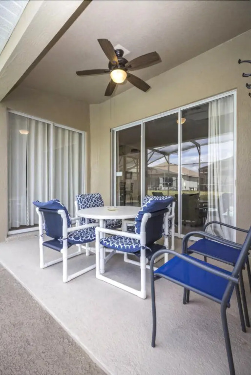 Windsor_palms_8113n