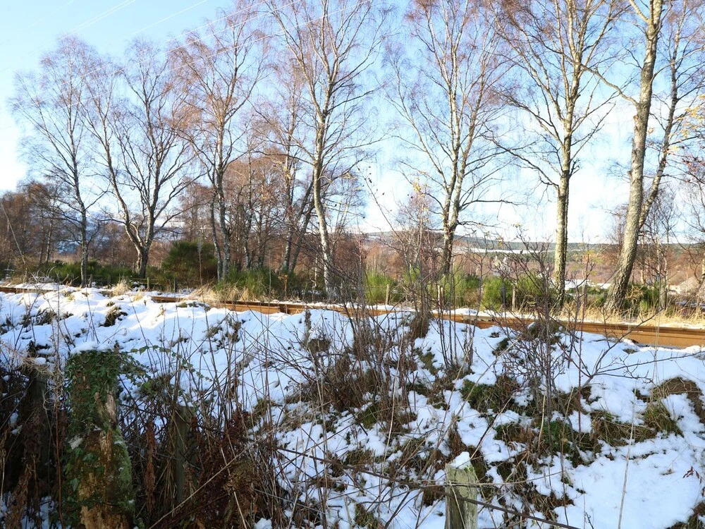 Foinaven