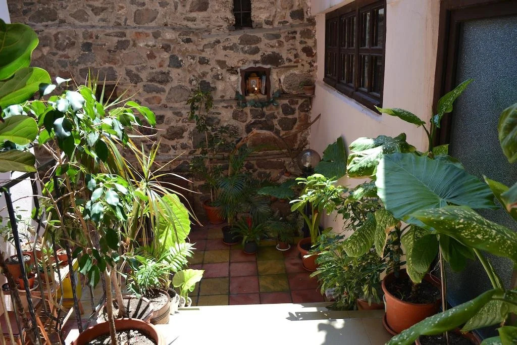 Guest House Olimpia