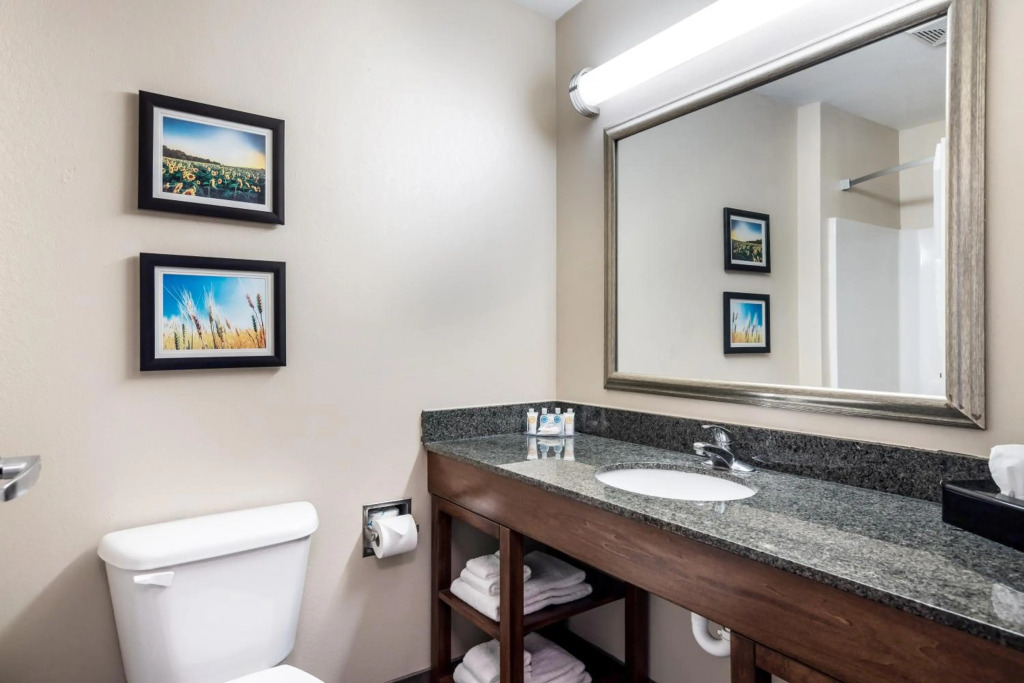Comfort Inn Bonner Springs Kansas City