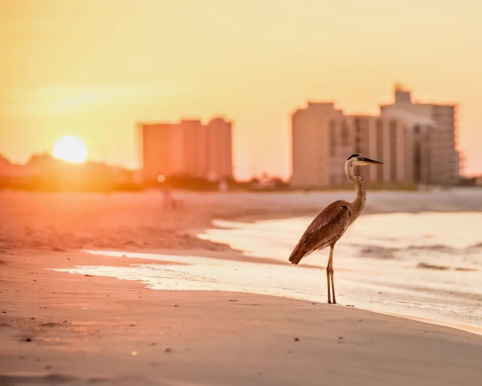 Seaside W/ 3 Pools & Tennis - By Turnkey 1 Bedroom Condo