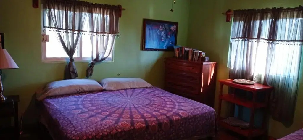 Iguana Loca 2