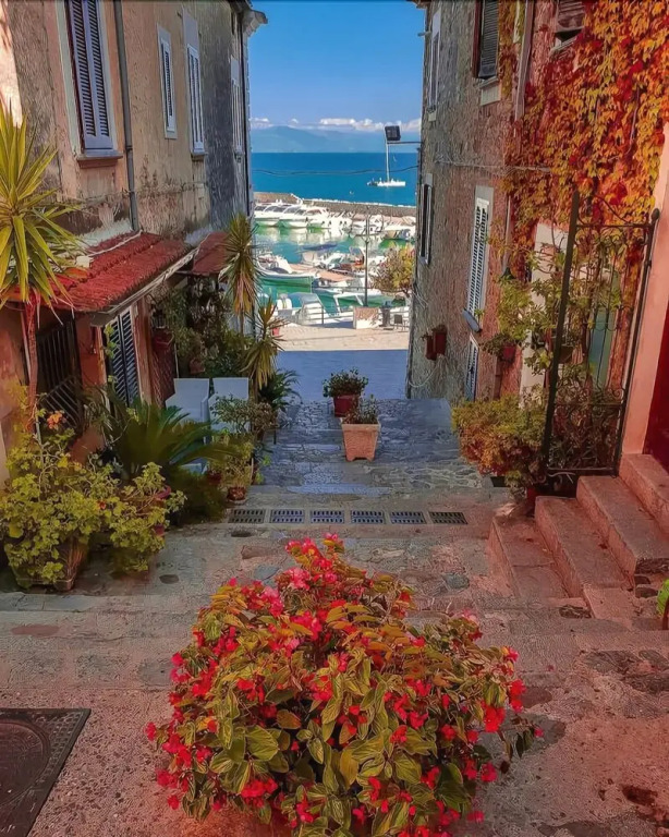 Casa Cabina