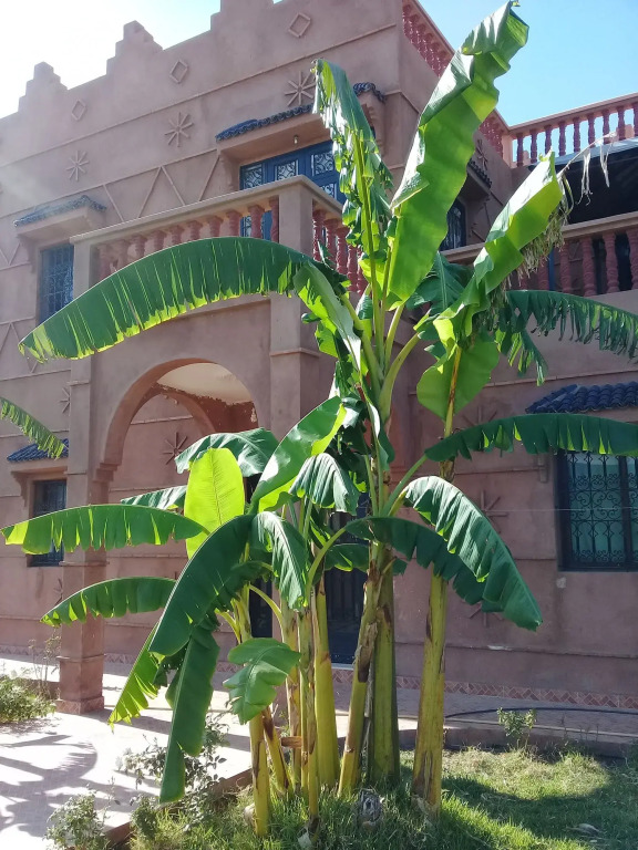 Riad Darga Rouge