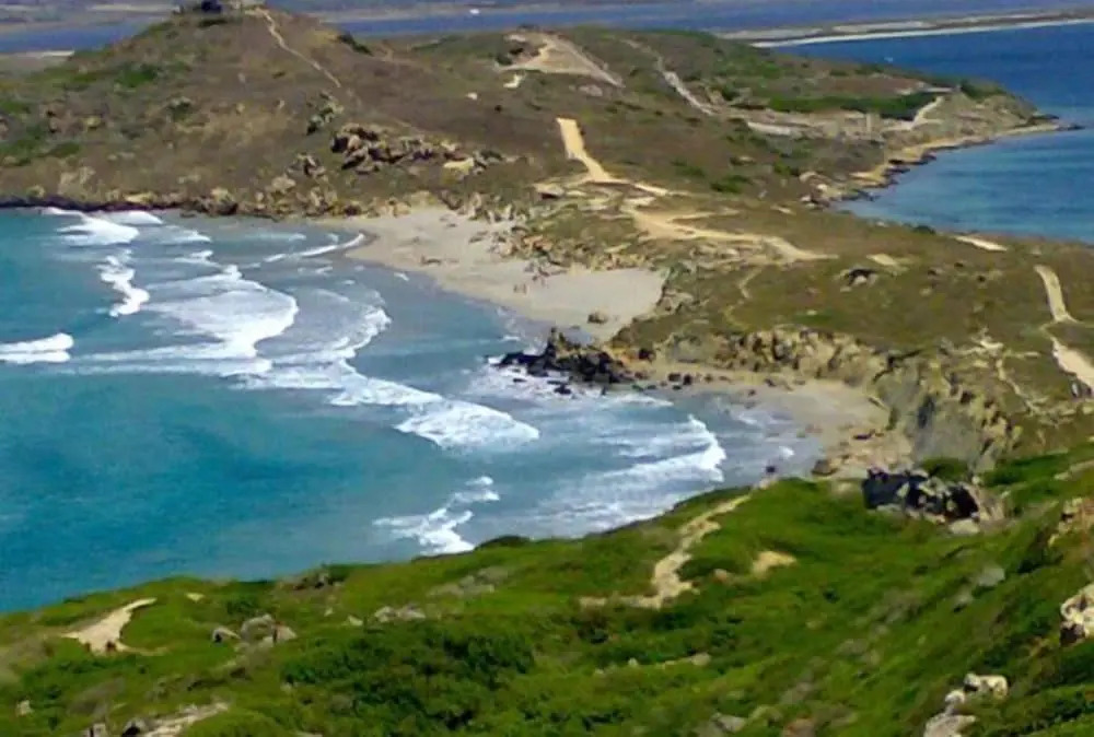 Domu de Palla