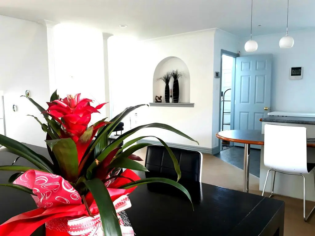 Lush & Co Auckland Bed & Breakfast