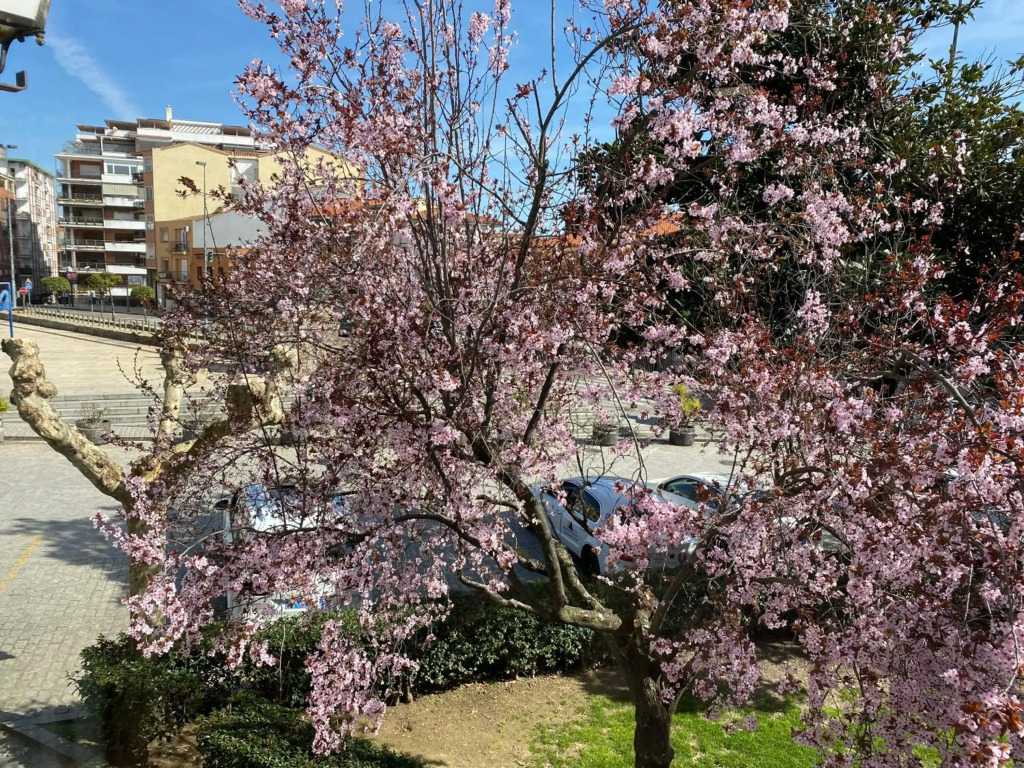 Apartamento Dacosta