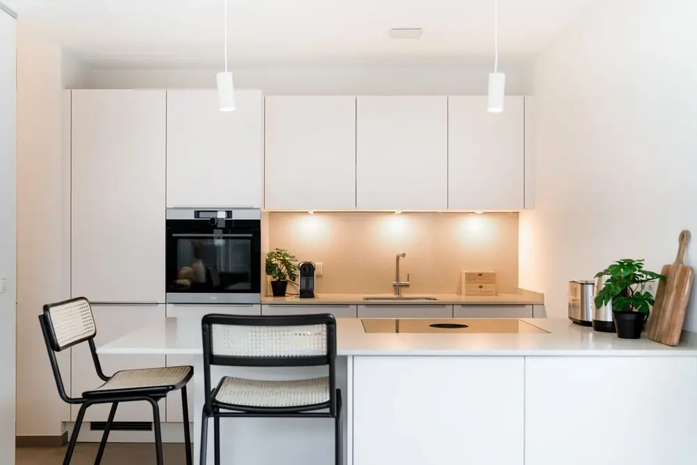 New high-end 2 BR Penthouse w Balcony