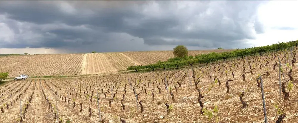 Domaine Maltoff