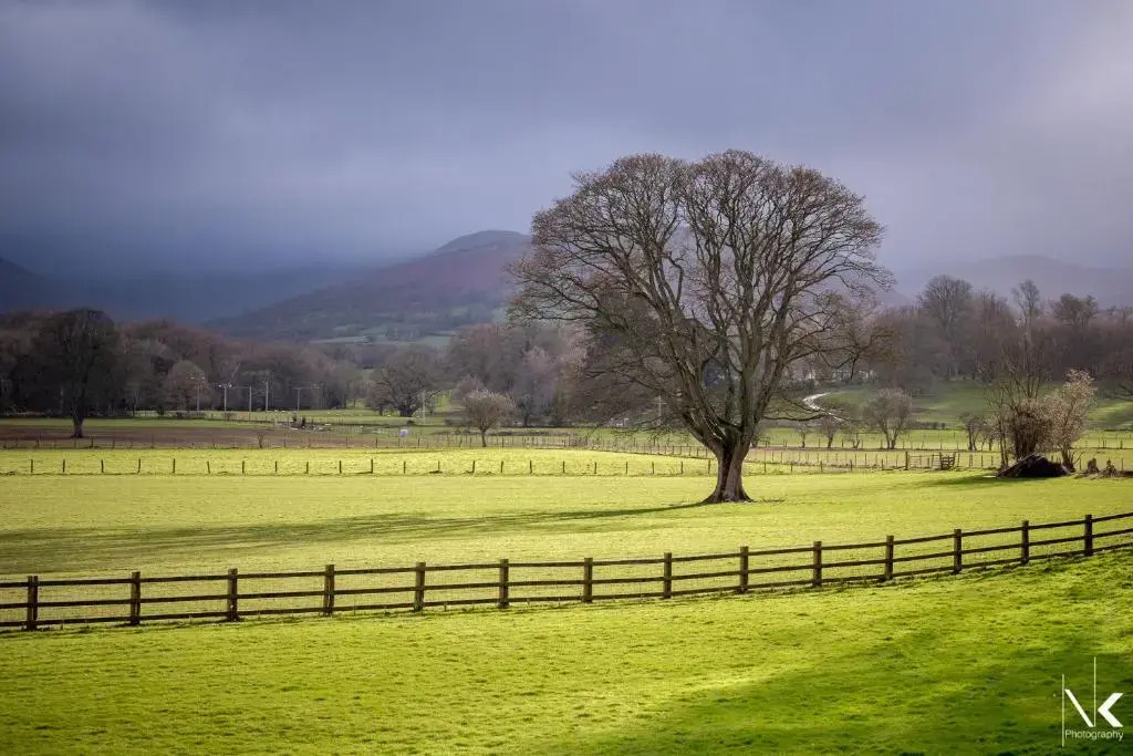 The Lodge Brecon B&B