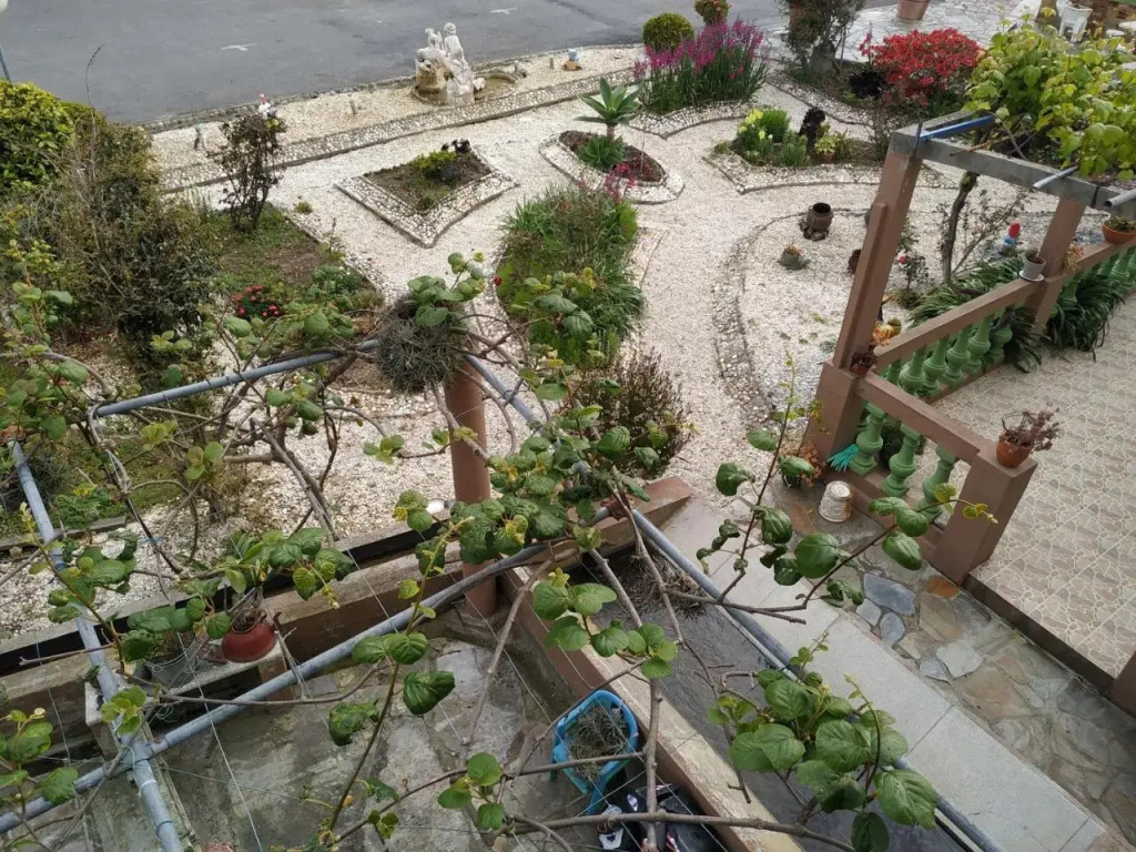 El Pinar