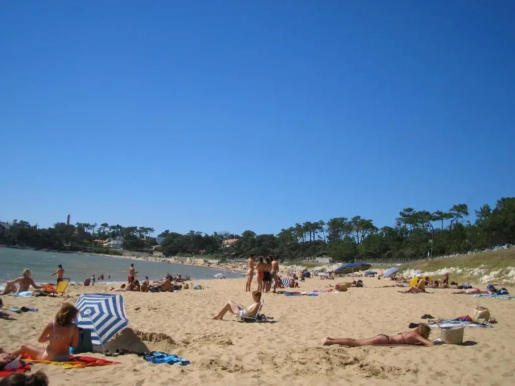 Studio Dunes aux Ecureuils