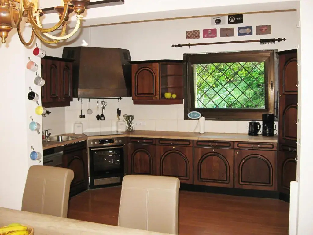 Danube view house with garden