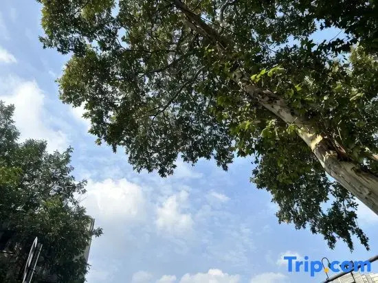 Suzhou 56 B&B (Taihu Xishan Yifeng Branch)
