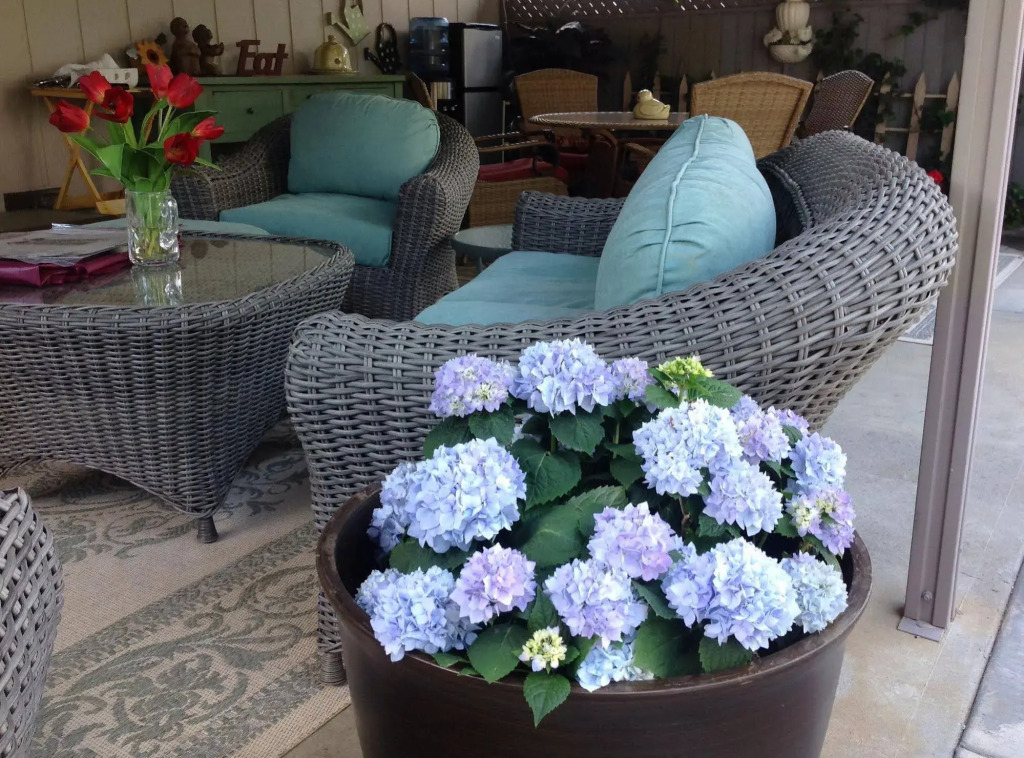 A Haven of Rest B&B