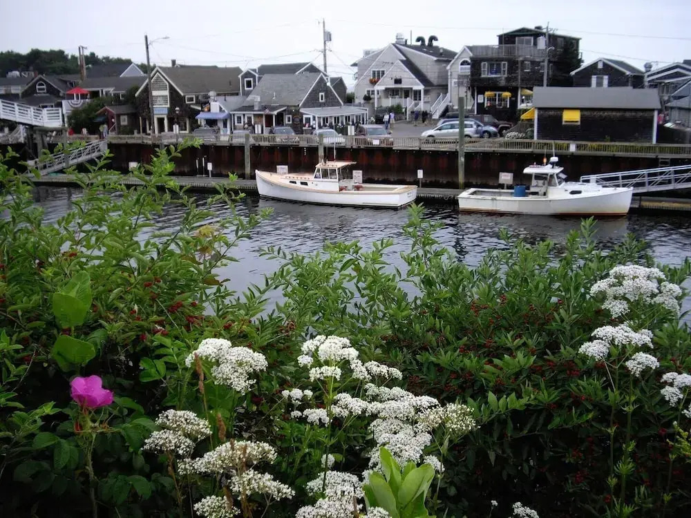 Perkins Cove Gem - Q934