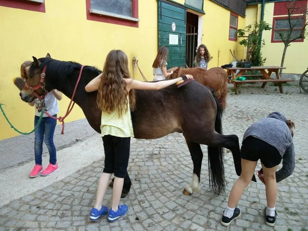 Pension & Reitstall Inghofer
