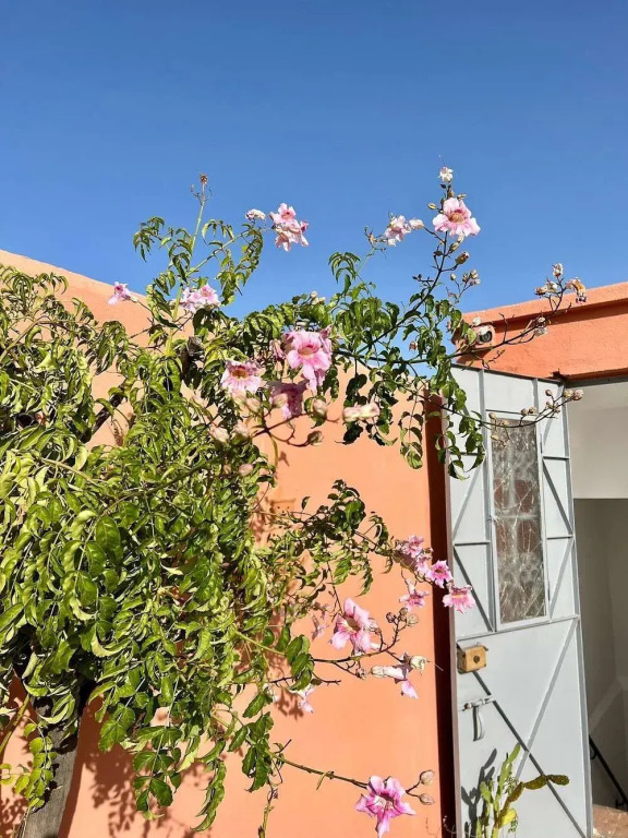 Riad Ramz