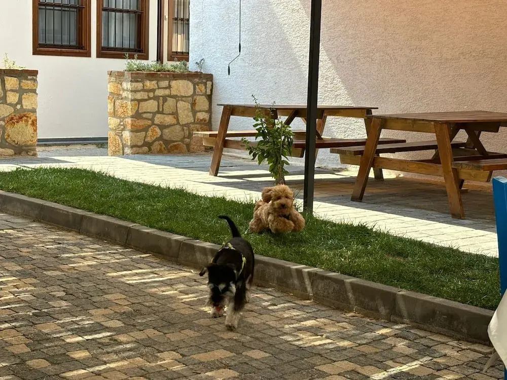İrinikos Otel
