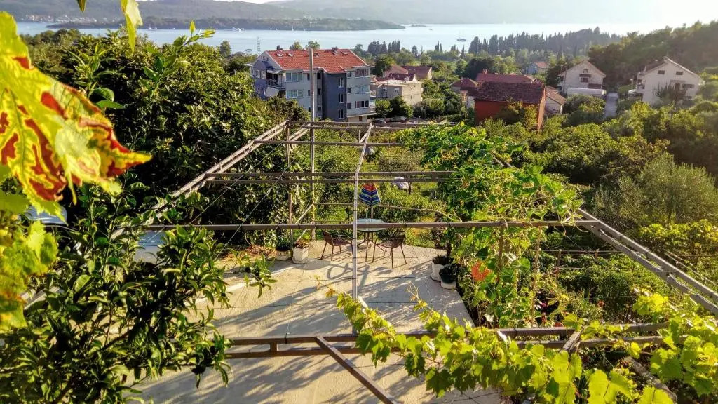 Apartmani Bosco