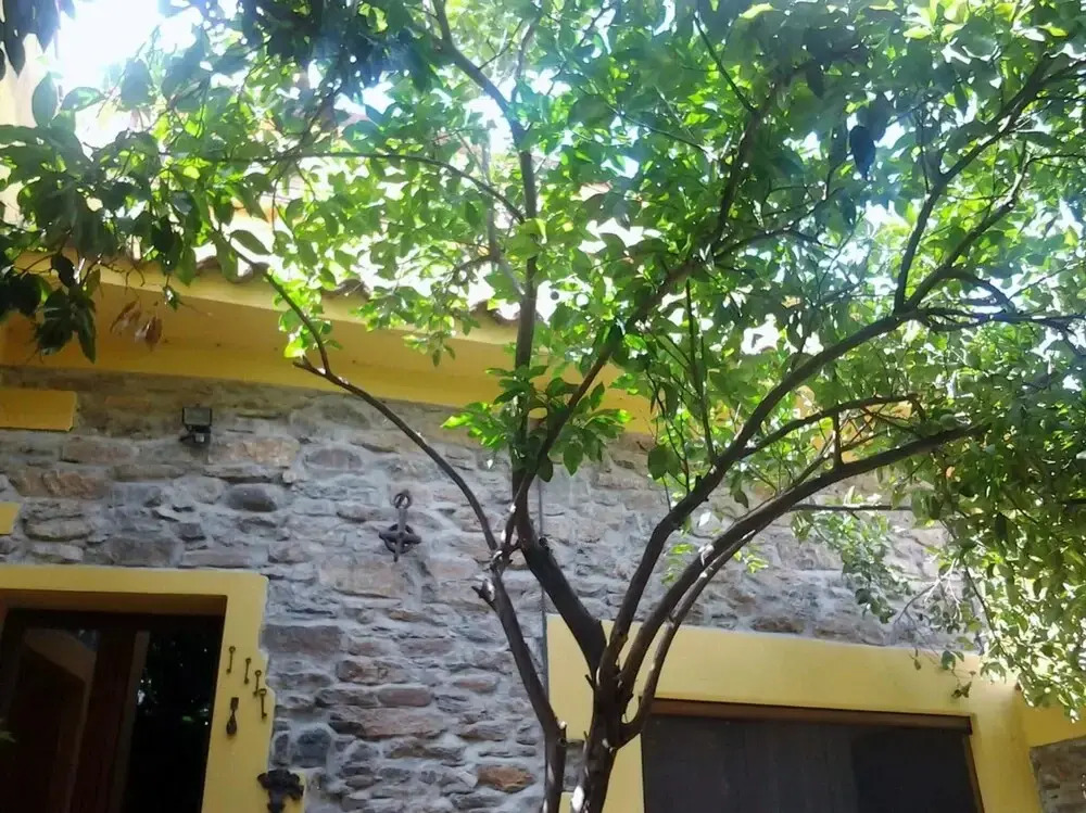 B&B Su Semucu