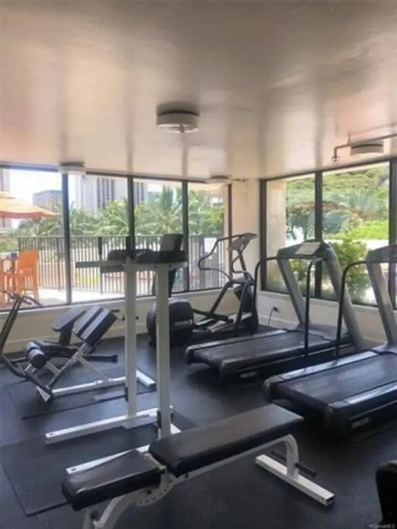 Luxurious Stay in Waikiki Steps to Waikiki Beach