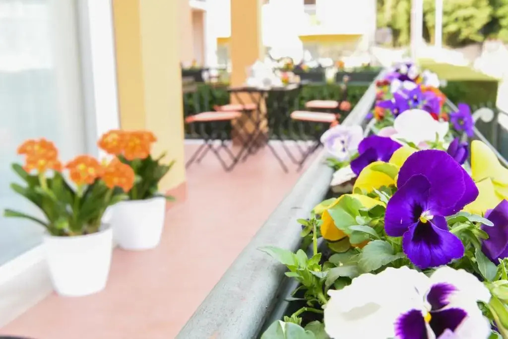Apartments Arco in Centro Castello, Pichea, Stivo