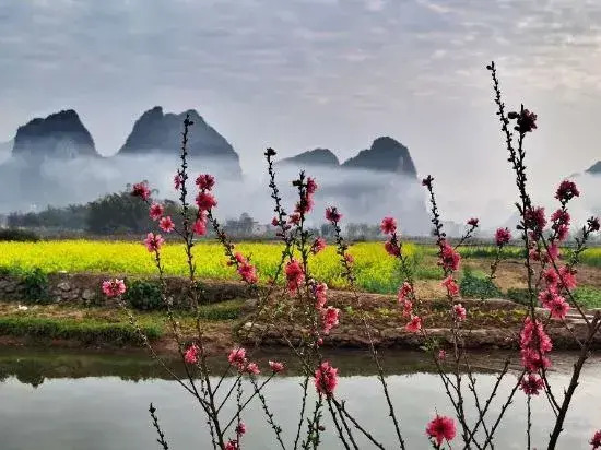 Yingxi Peak Forest Corridor Xingxiwei Homestay