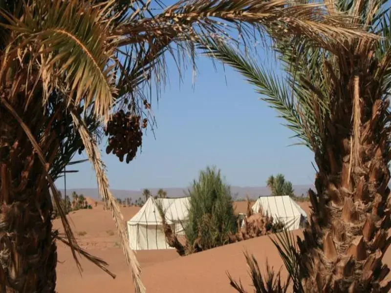 Sahara Safari Camp