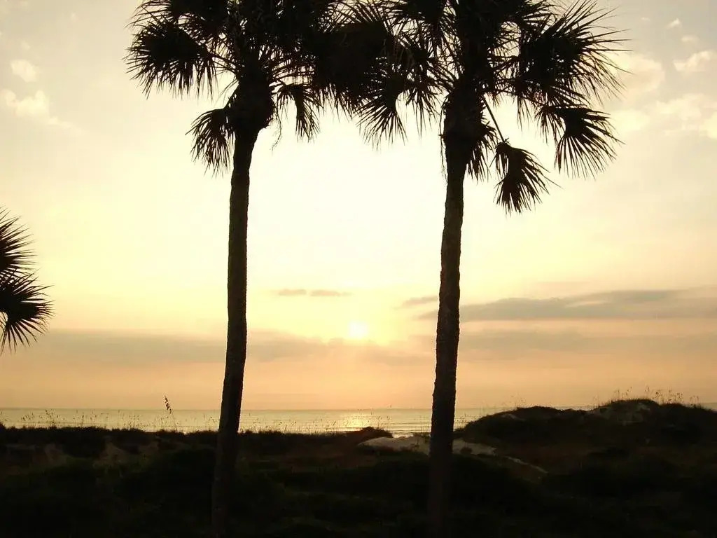 Averys Beach Bungalow
