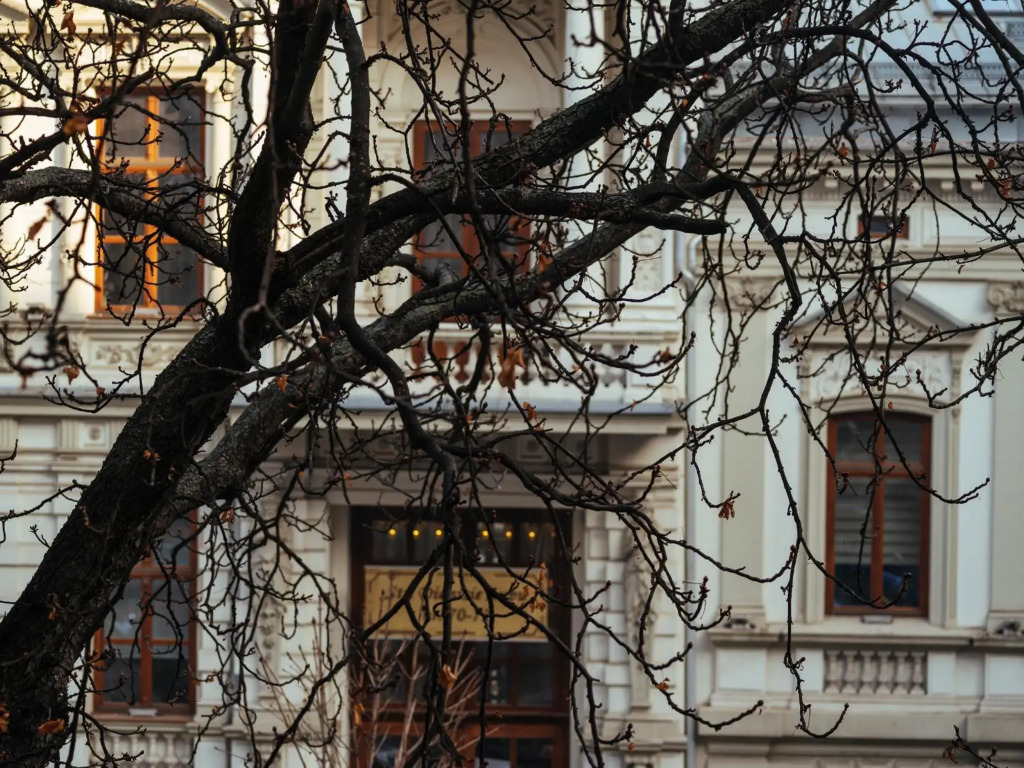 City Center Studio - Historic District