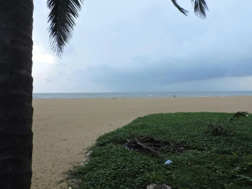 Oasis Beach Resort