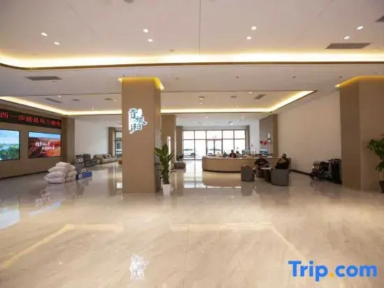 Youth Hostel Preferred Hotel (Vedoli Square Store, Jining South Station)